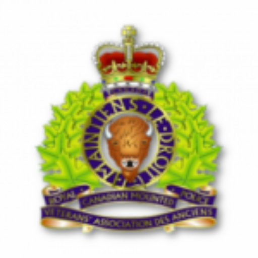 This image has an empty alt attribute; its file name is cropped-Vets-crest-for-webpage-PNG-e1606688240825.png